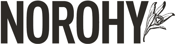 NOROHY Logo